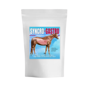SyncroGastro
