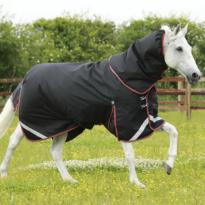 Premier Equine Titan 100g Turnout Rug with Snug Fit Neck Cover *Pre order*