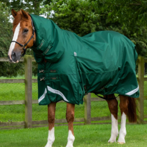 Premier Equine Buster Storm 220g Combo Turnout Rug with Classic Neck *pre order*