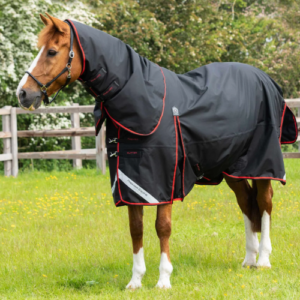 Premier Equine Buster 250g Turnout Rug with Classic Neck Cover *pre order*