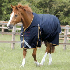 Premier Equine Buster 50g Original Waterproof Turnout Rug (No Neck Rug) *pre order*