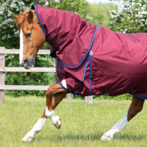 Premier Equine Buster 40g Turnout Rug with Classic Neck Cover *pre order*