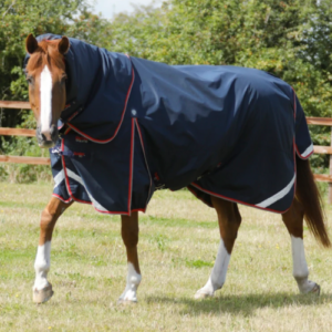 Premier Equine Buster 50g Turnout Rug with Sung-fit Neck Cover *pre order*
