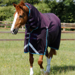 Premier Equine Buster Storm 100g Combo Turnout Rug *pre order*