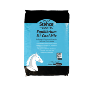 Equilibrium B1 Cool mix