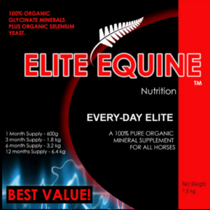 Elite Equine Every Day Elite