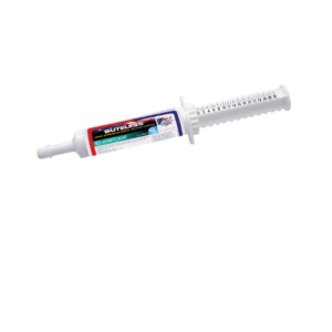 Equine America Buteless High Strength Paste