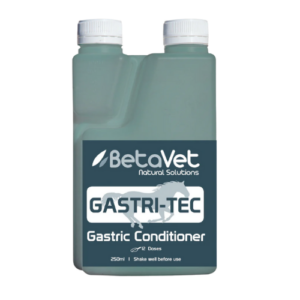 BetaVet Gastritec