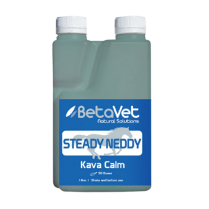 BetaVet Steady Neddy