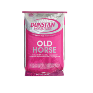 Dunstan Old Horse