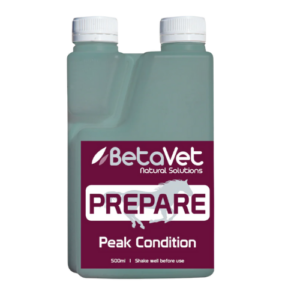 BetaVet Prepare