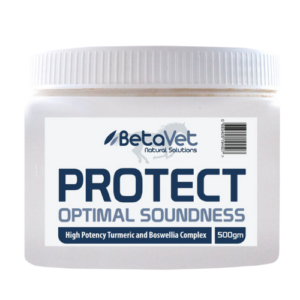BetaVet Protect