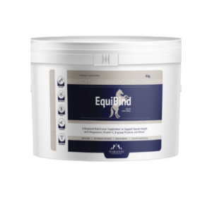 EquiBind